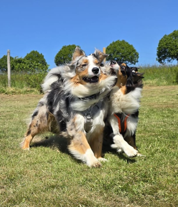 bei